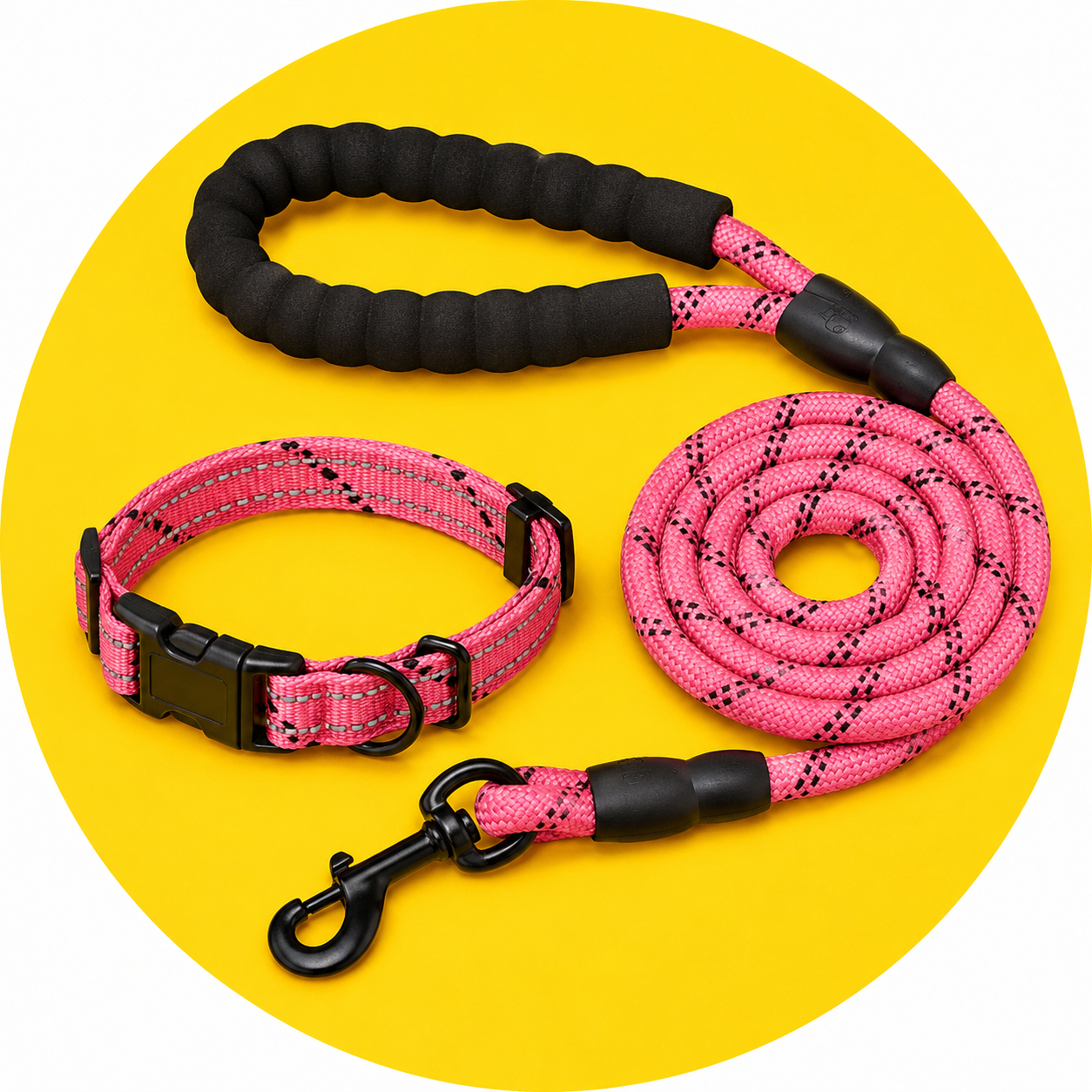 Harness, Collars & leads