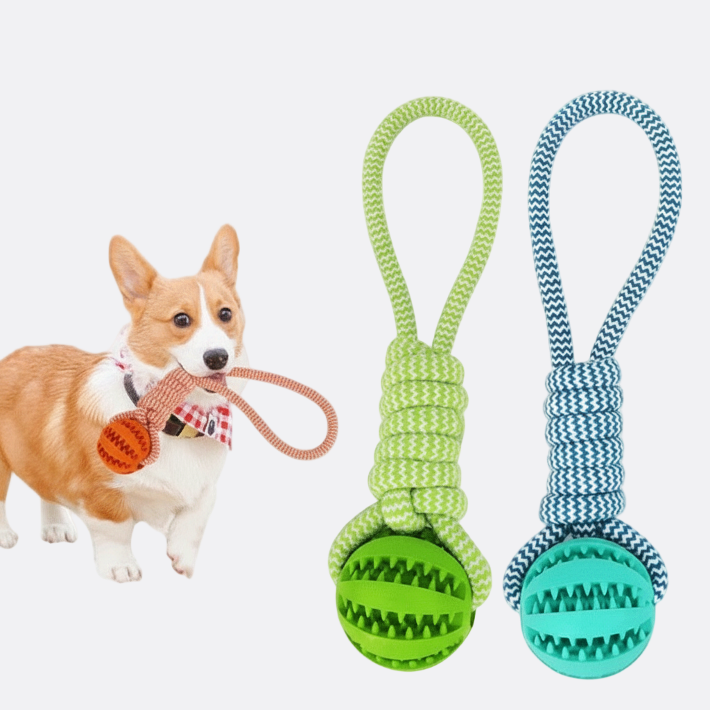 Interactive Dog Chew Ball - Pet Mode 