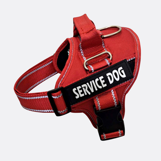 Adjustable Pet Chest Strap - Pet Mode 