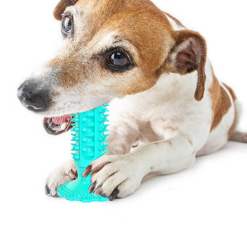 Dog Toothbrush Molar Stick - Pet Mode 