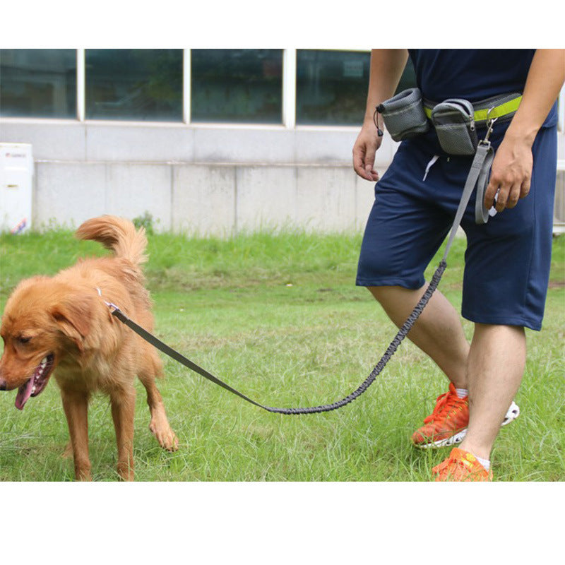 Adjustable Hands Free Dog Leash - Pet Mode 