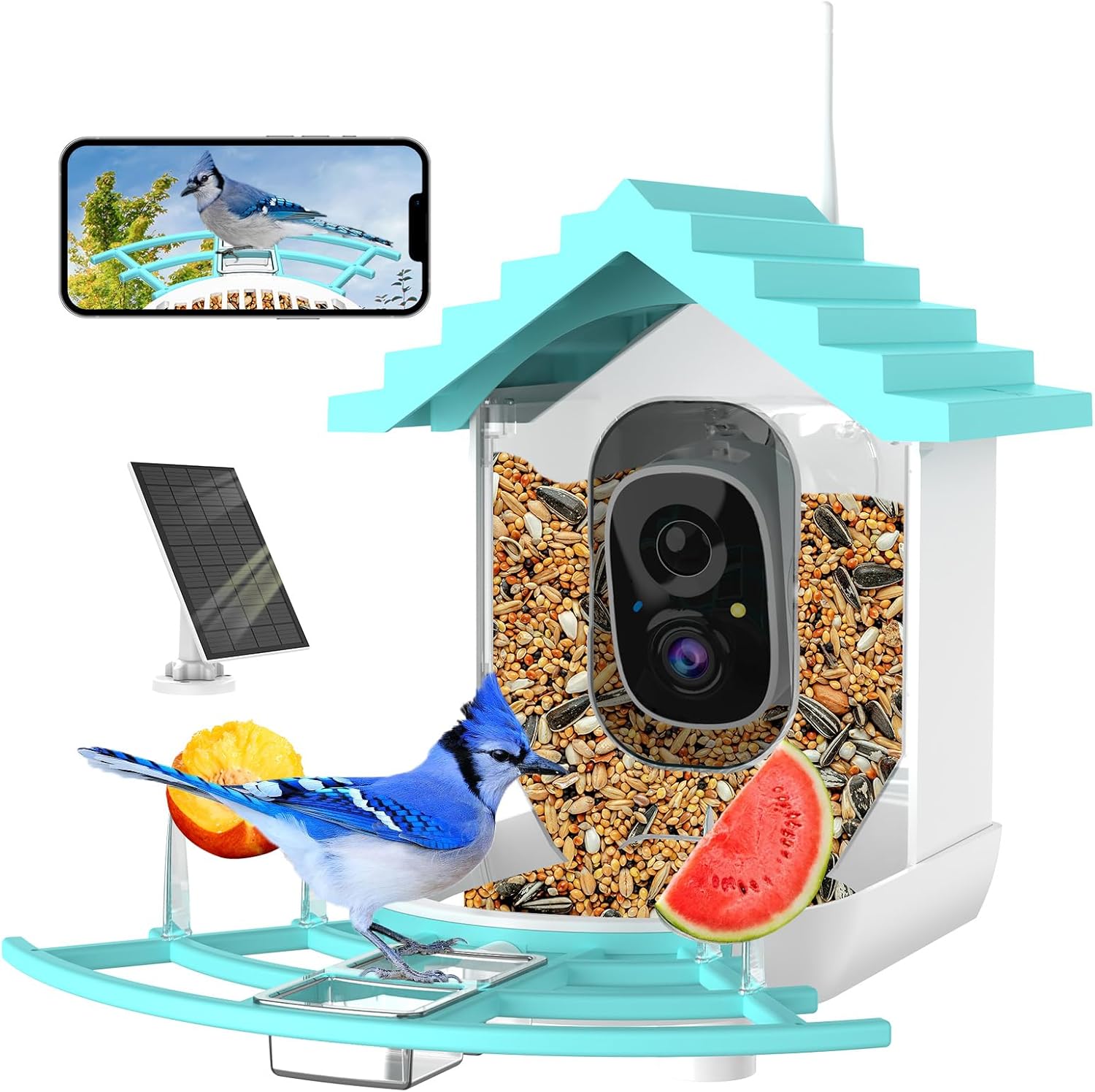 Bird Feeder with Camera - Pet Mode 
