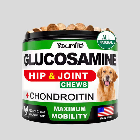 Container of Youmit Glucosamine Hip & Joint Chews with a dog on the label