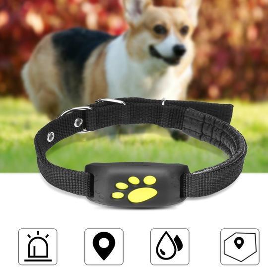 GPS Pet Tracker - Pet Mode 