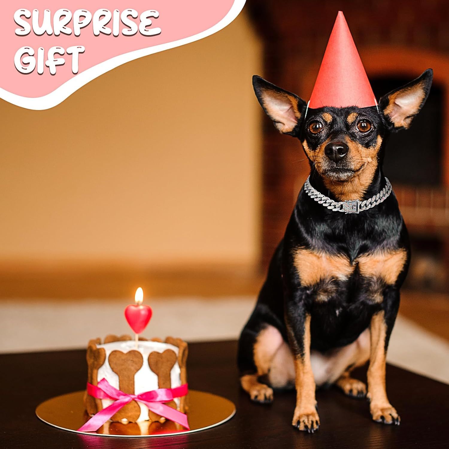 Metal Chain Necklace for Dogs & Cats - Pet Mode 