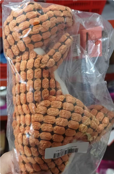 Dinosaur Pet Toy - Pet Mode 