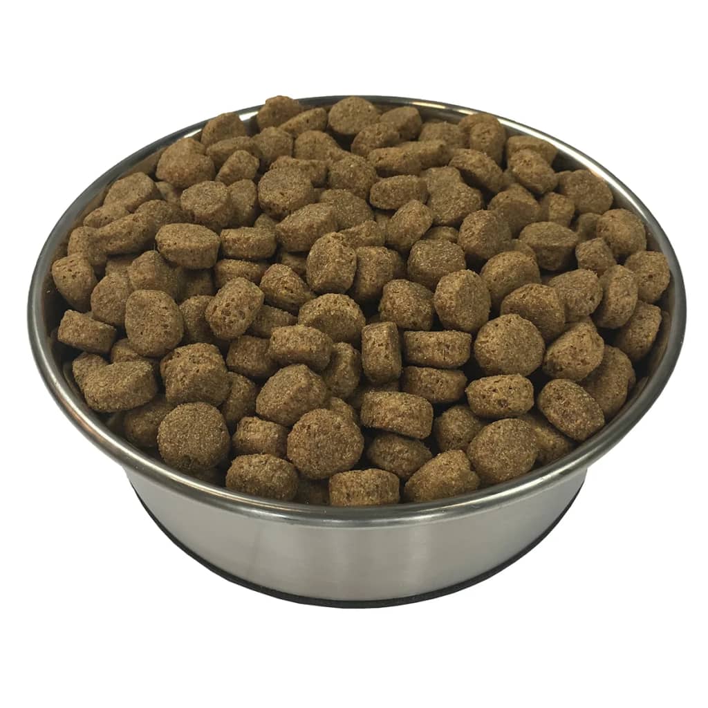 Dry Dog Food - Pet Mode 
