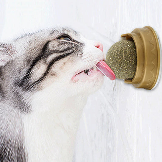 Catnip Rotary Molar Ball - Pet Mode 