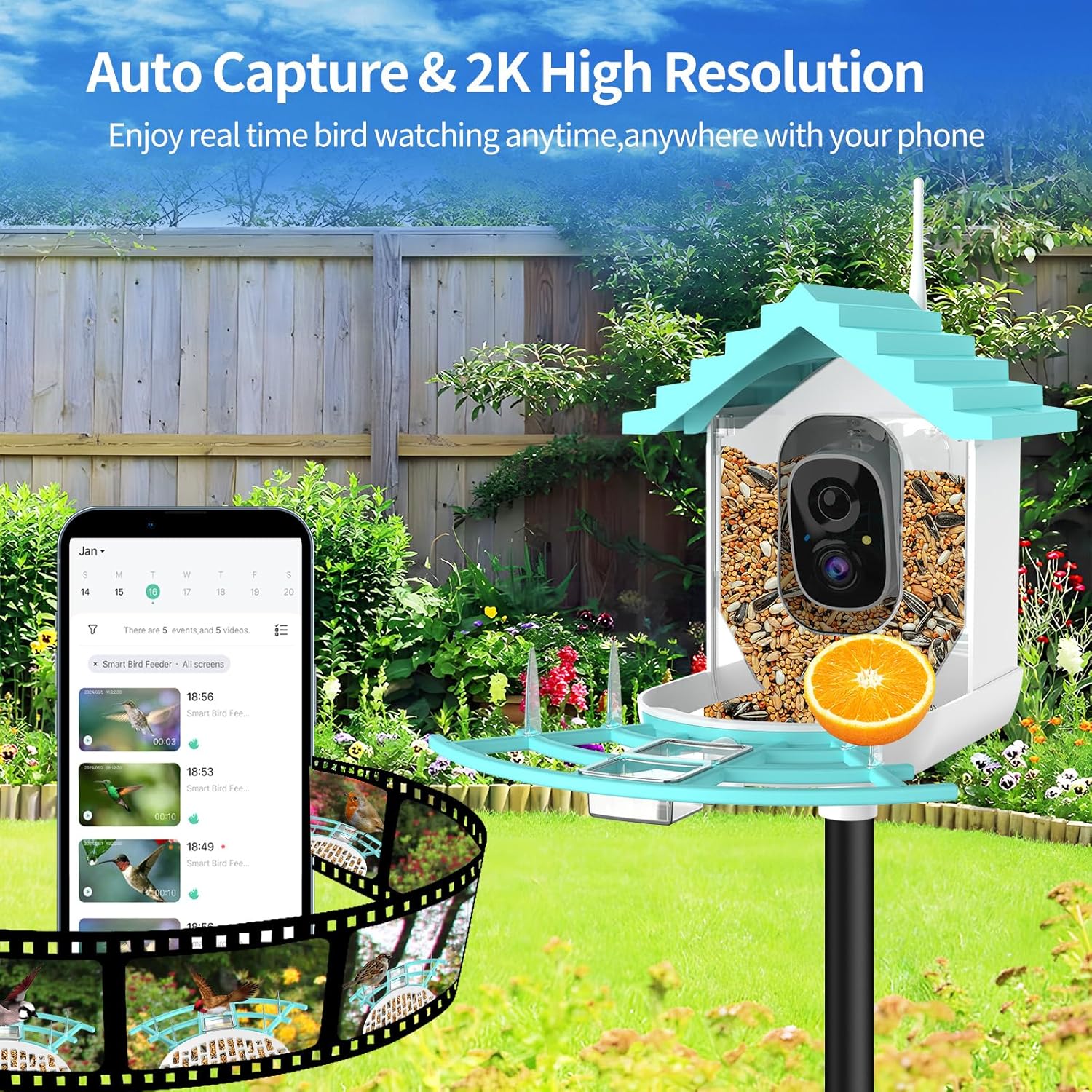 Bird Feeder with Camera - Pet Mode 