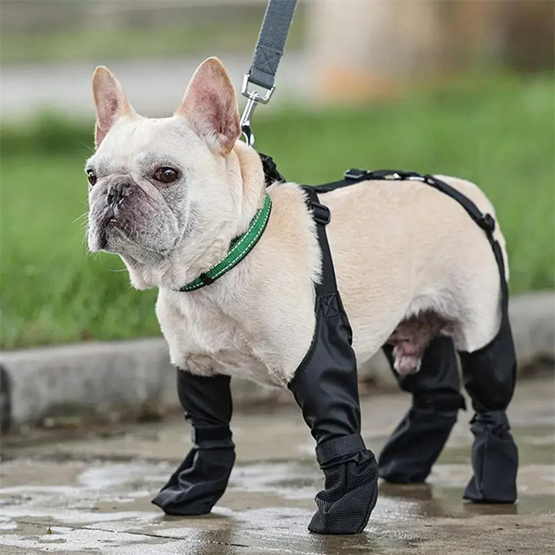 Waterproof Adjustable Dog Shoes - Pet Mode 