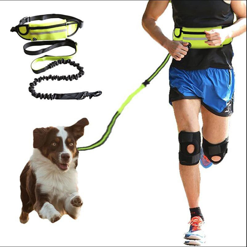 Adjustable Shock-Absorbing Bungee Leash with Waist Belt - Pet Mode 