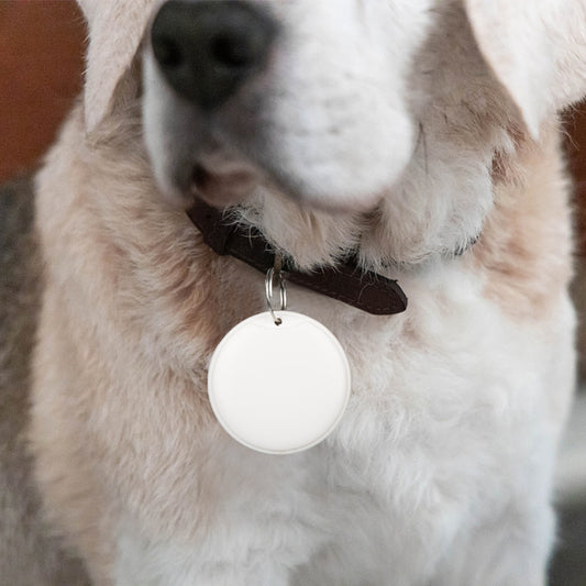 Mini GPS Tracker – Smart Anti-Lost Tag for Pets, Kids & Keys - Pet Mode 