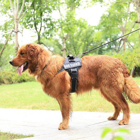 Adjustable Pet Chest Strap - Pet Mode 