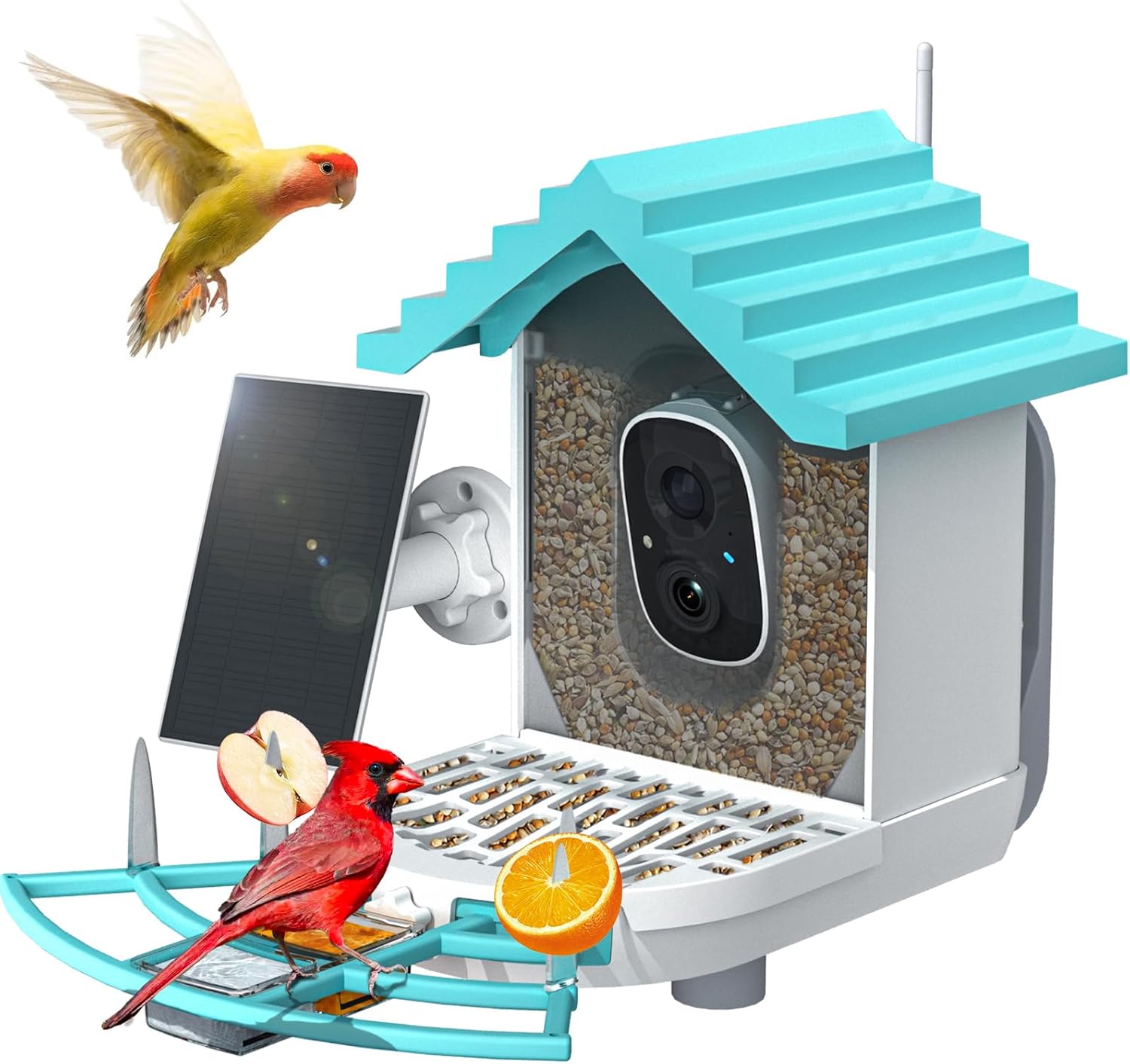 Bird Feeder with Camera - Pet Mode 