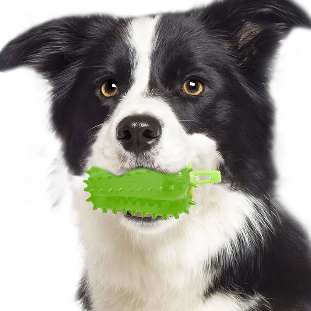 Interactive Dog Teething Chili Chewers Toy Interactive Toys Dog Toys - Pet Mode 