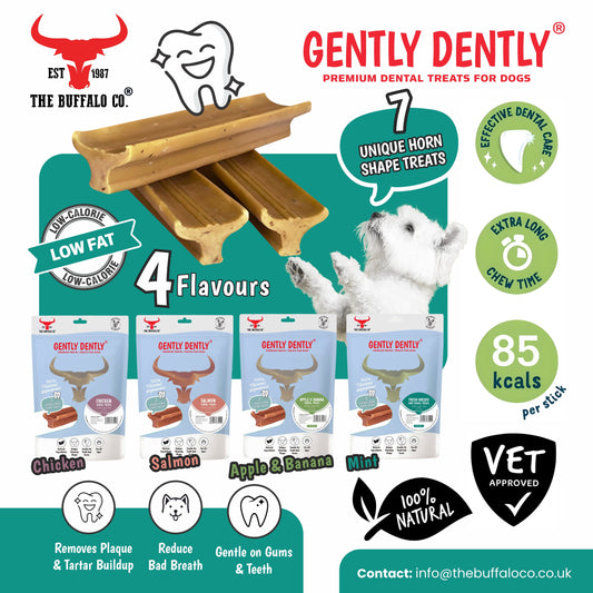 Gently Dently- Chicken Dental Treats for Dogs 175g - Pet Mode 