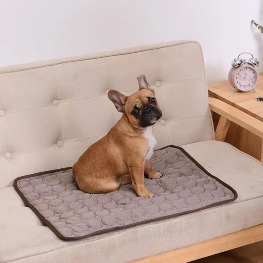 Summer Pet Cooling Mat Self Cooling Pad for Dog and Cat Waterproof - Pet Mode 
