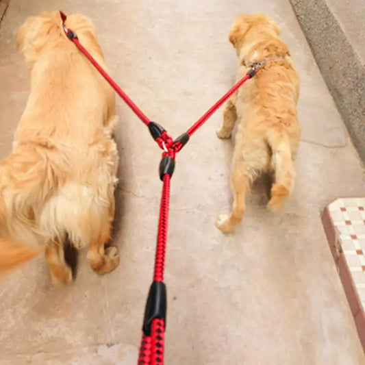 Dual Dog Leash | No-Tangle Double Lead for Walking Two Dogs - Pet Mode 