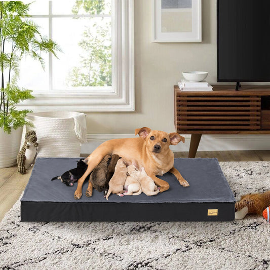 Large Orthopaedic Dog Bed Waterproof- with Removable Washable Cover - Pet Mode 