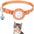 Reflective AirTag Cat Collar | Breakaway Safety Collar with Bell