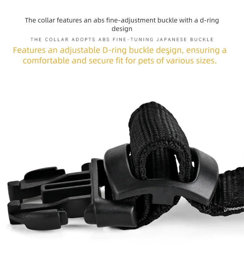 USB Rechargeable LED Dog Collar | High Visibility Night Safety Collar