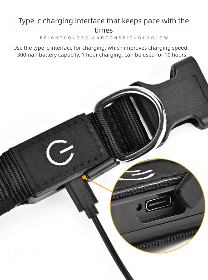USB Rechargeable LED Dog Collar | High Visibility Night Safety Collar