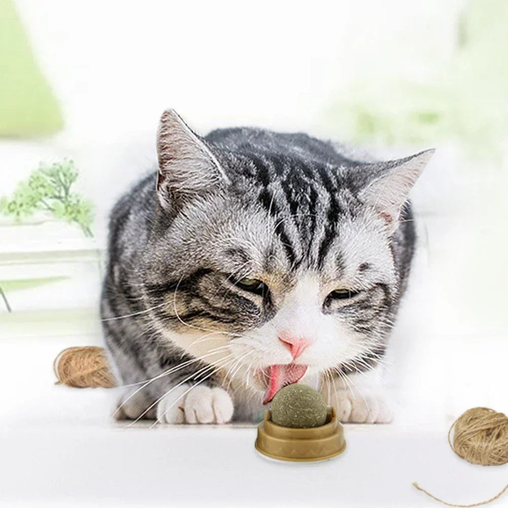 Catnip Rotary Molar Ball - Pet Mode 