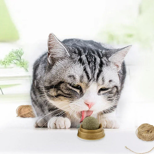 Catnip Rotary Molar Ball - Pet Mode 