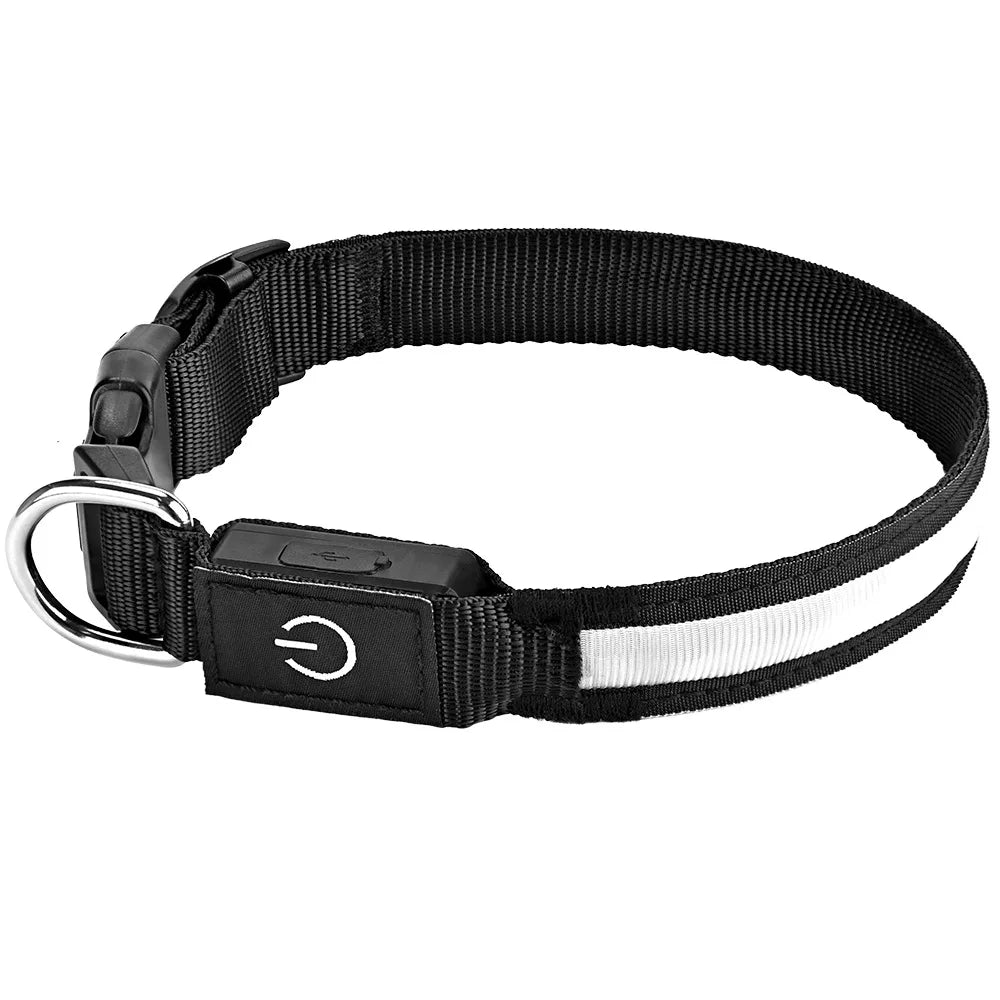USB Rechargeable LED Dog Collar | High Visibility Night Safety Collar