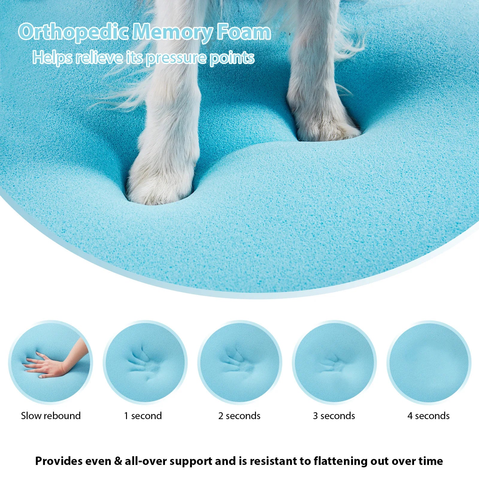 Orthopedic Memory Foam Dog Bed with C-Shaped Armrest | Waterproof & Washable