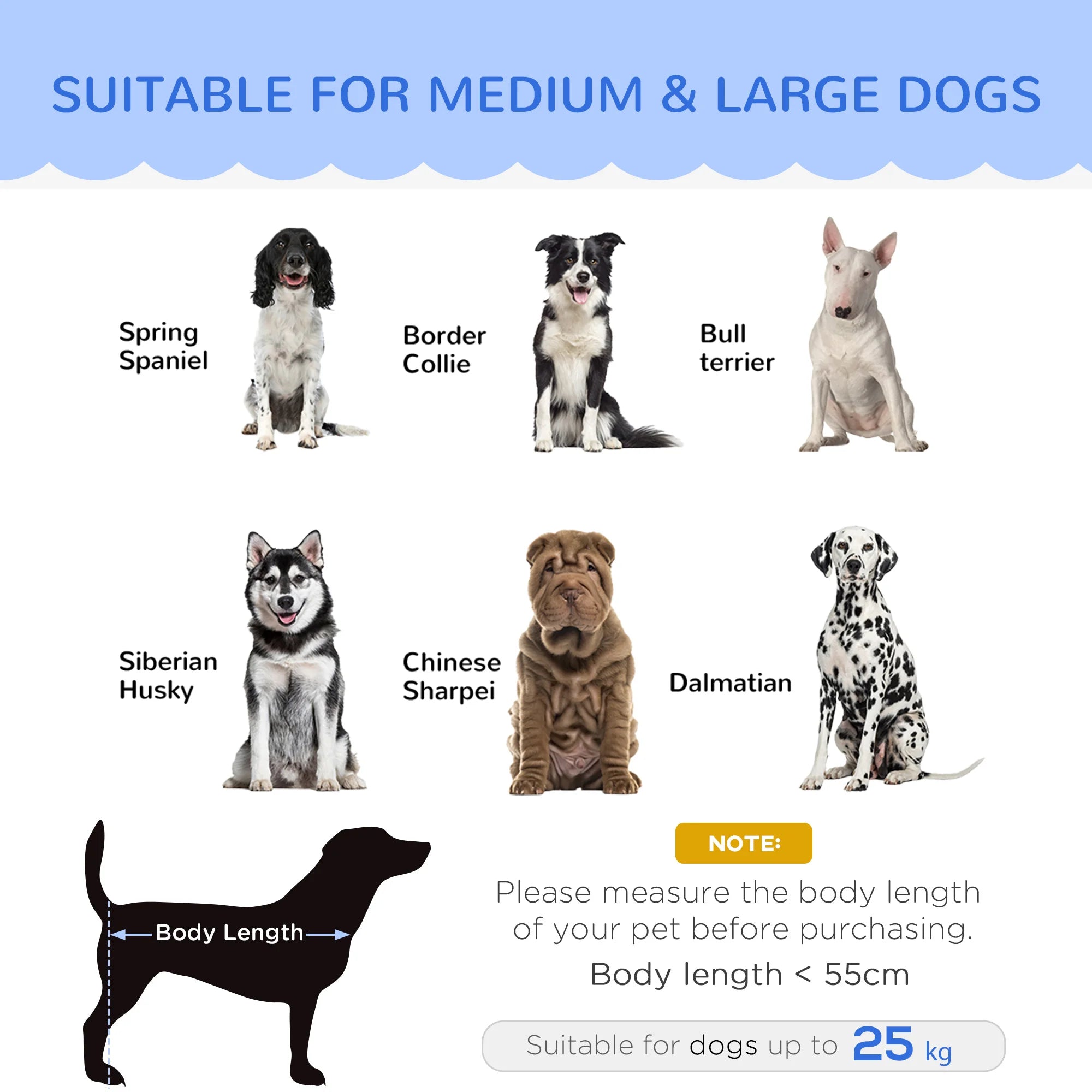 Luxury Dog Sofa Bed – Elevated Plush Pet Couch for Medium & Large Dogs