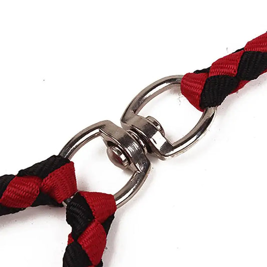 Dual Dog Leash | No-Tangle Double Lead for Walking Two Dogs - Pet Mode 