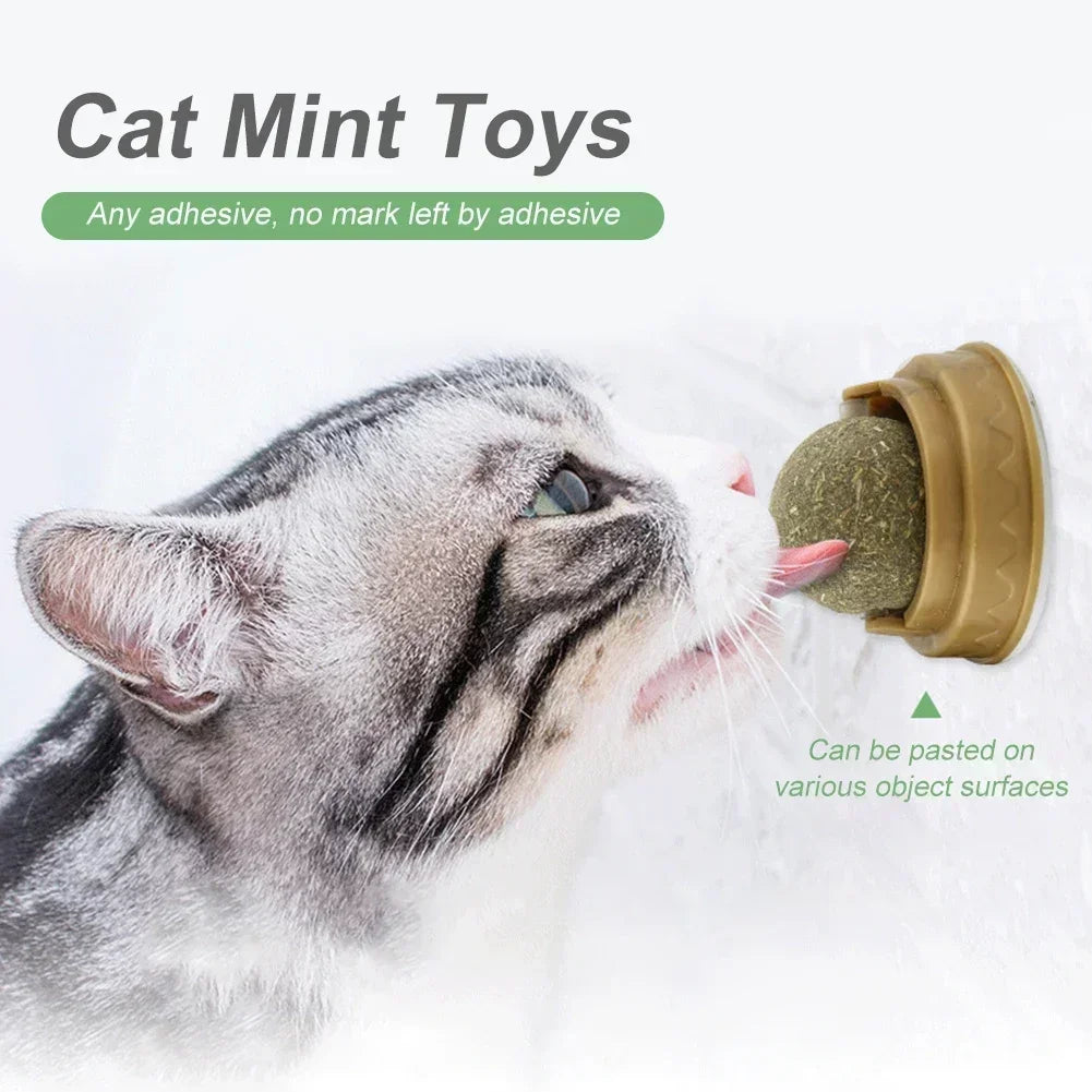 Catnip Rotary Molar Ball - Pet Mode 