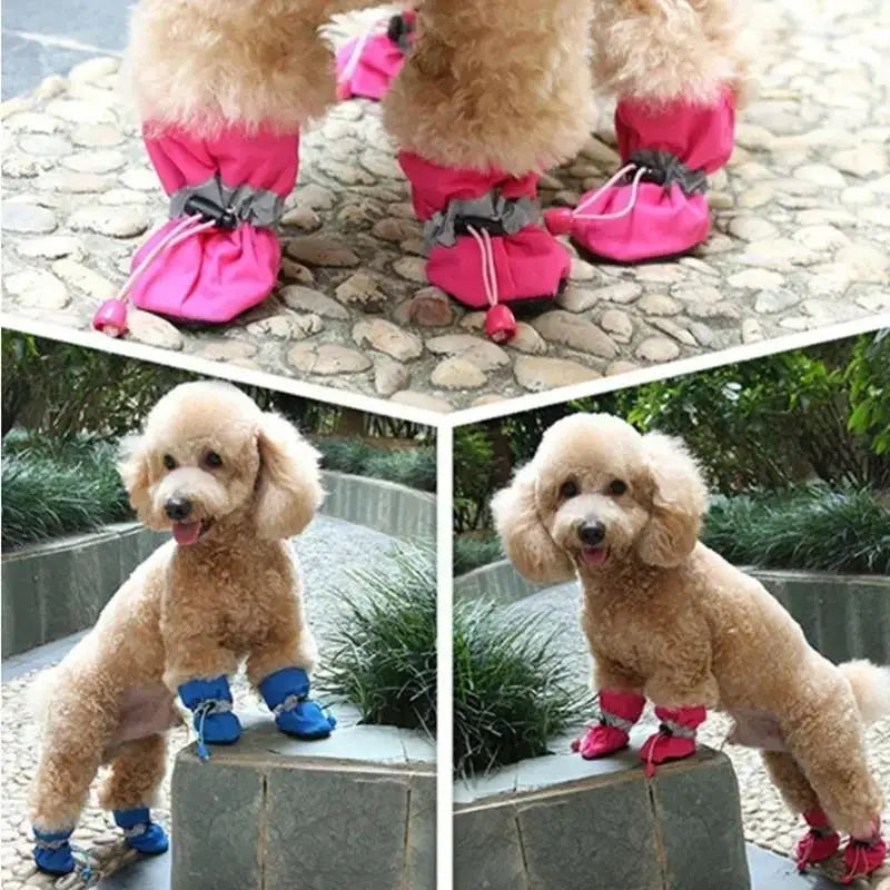 4pcs Waterproof Pet Dog Shoes - Anti-slip - Pet Mode 
