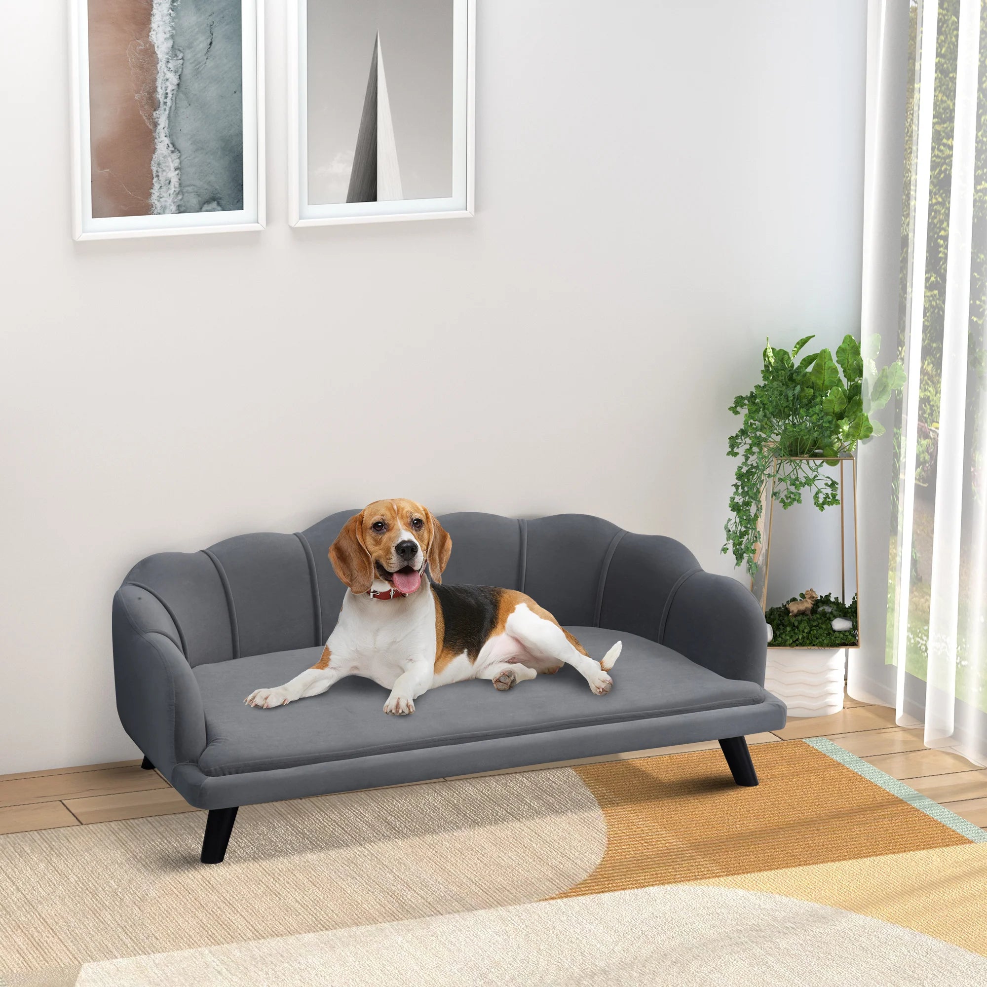 Luxury Dog Sofa Bed – Elevated Plush Pet Couch for Medium & Large Dogs