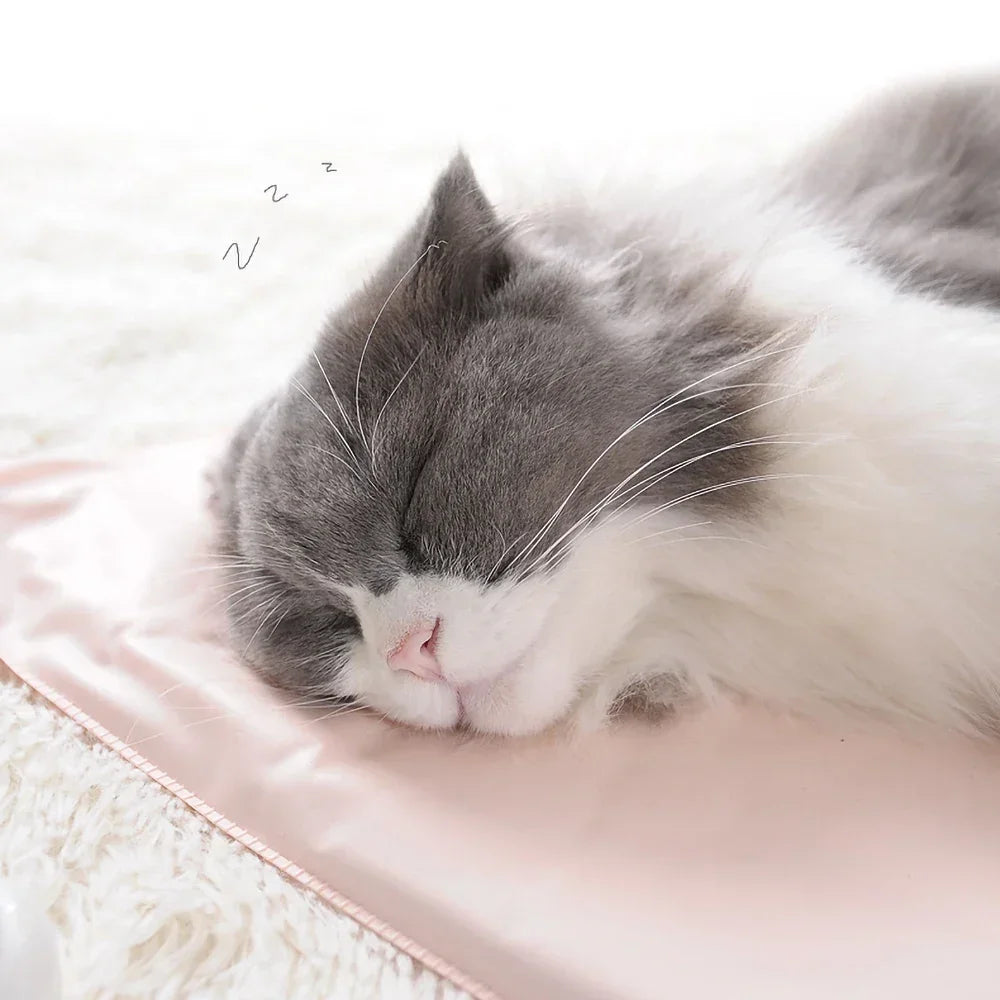 Winter Pet Heating Blanket - Waterproof - Pet Mode 