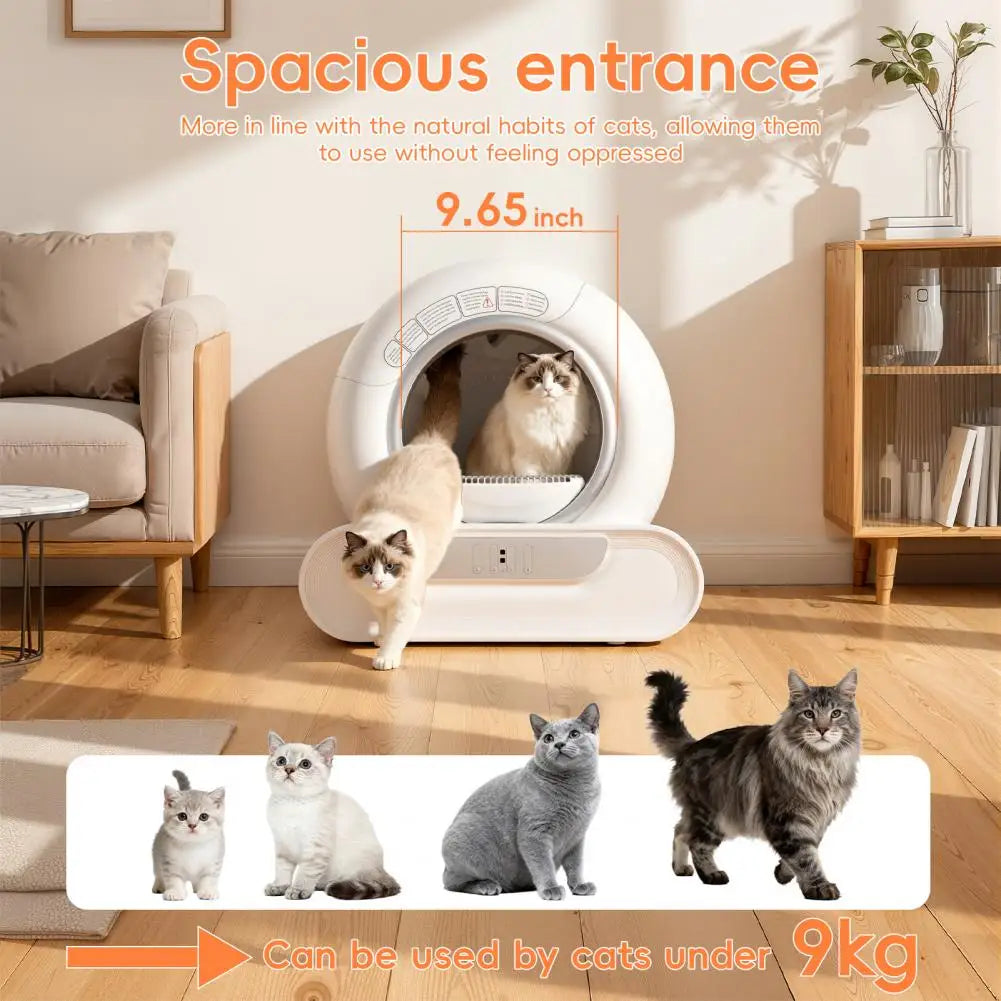 Smart Self-Cleaning Cat Litter Box with APP Control & Advanced Odor Removal
