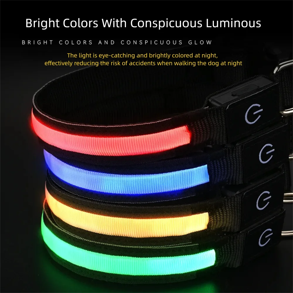 USB Rechargeable LED Dog Collar | High Visibility Night Safety Collar