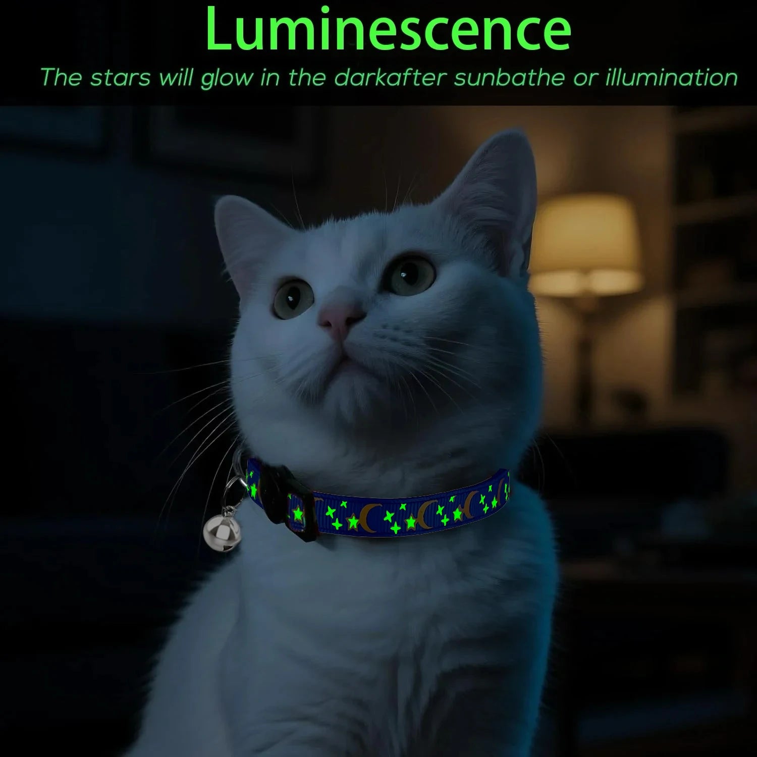 Glow in the Dark Pet Collar with Bell | Stars & Moon Design