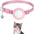 Reflective AirTag Cat Collar | Breakaway Safety Collar with Bell