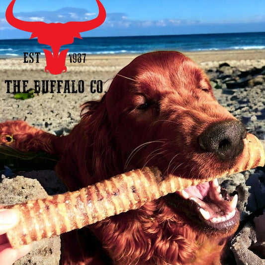 Buffalo Trachea Rounds - Dog Treats - 1kg - Pet Mode 