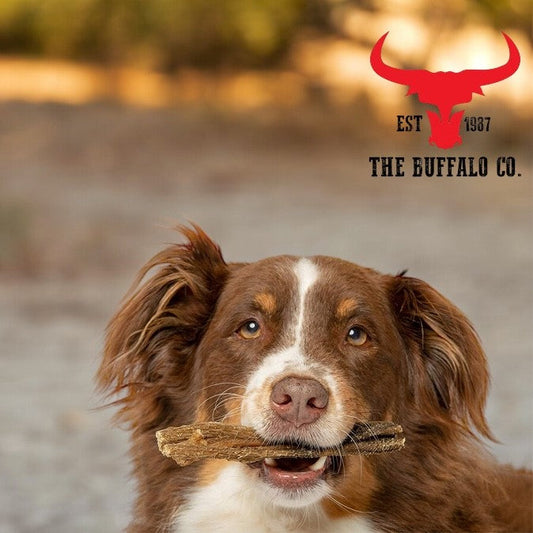 Buffalo Tripe - Dog Treats - 1kg - Pet Mode 