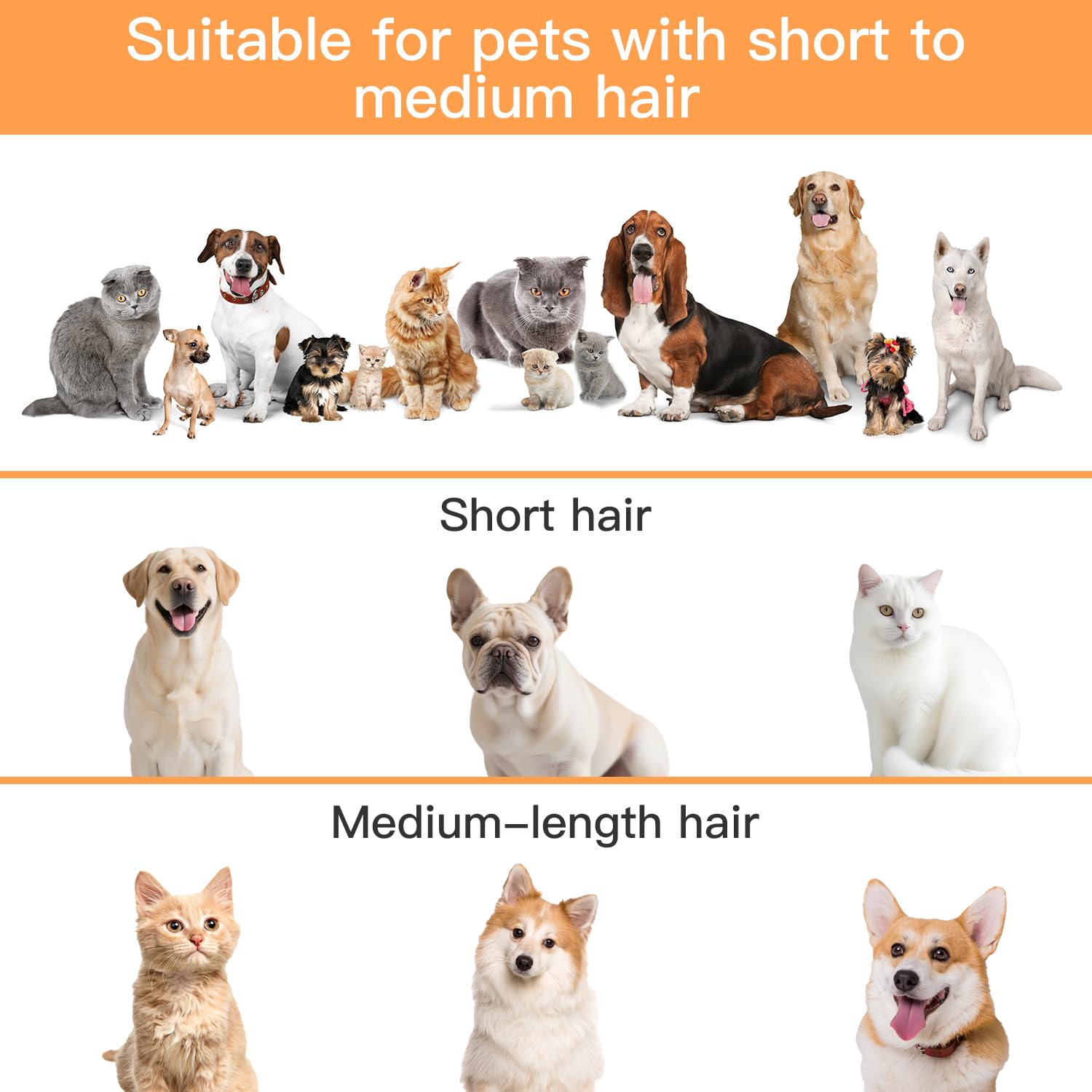 AIRROBO Dog Grooming Vacuum Kit – 12000Pa Suction, Quiet Grooming Vacuum, 2L Dust Cup, 5-in-1 Kit - Pet Mode 