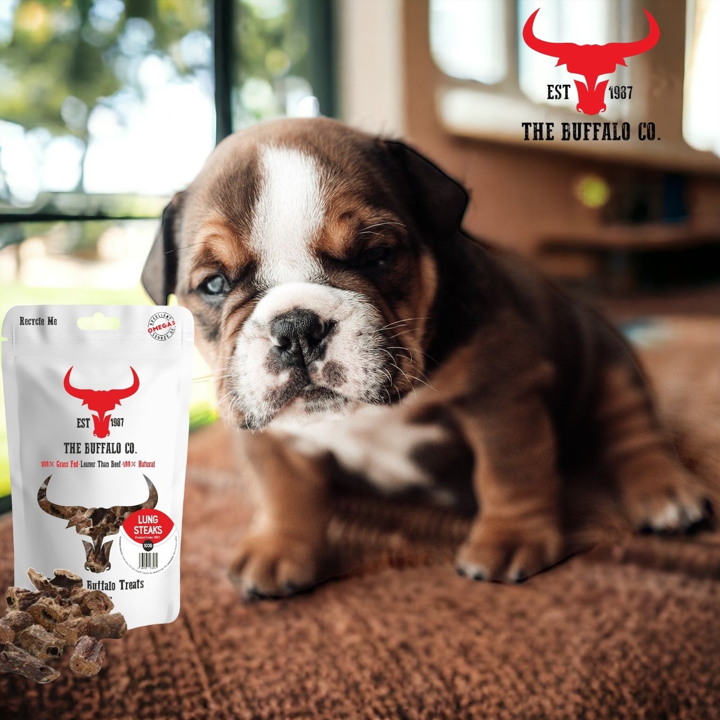Buffalo Lung Steaks - Dog Treats - 1kg - Pet Mode 