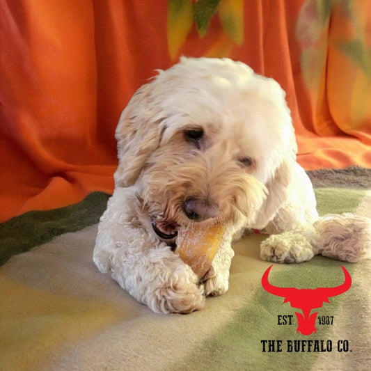 Buffalo Paddywack - Dog Treats - 1kg - Pet Mode 