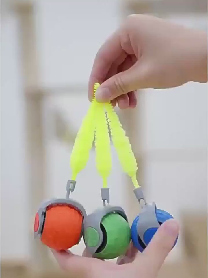 Automatic Rolling Cat Toy | Interactive Indoor Play - PetMode