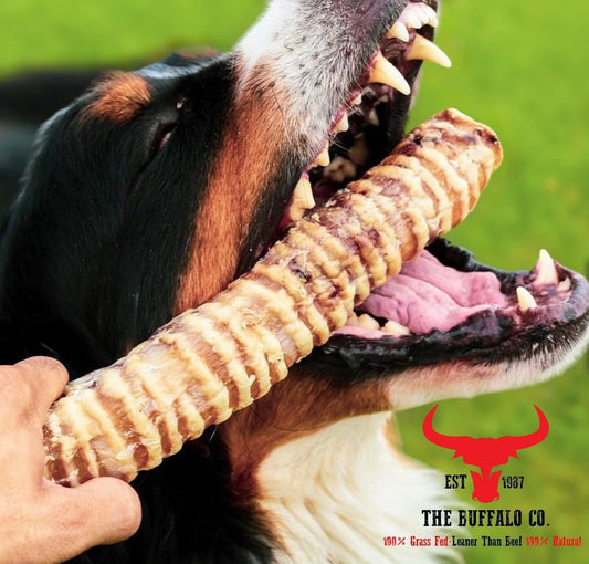 Buffalo Trachea Rounds - Dog Treats - Pet Mode 